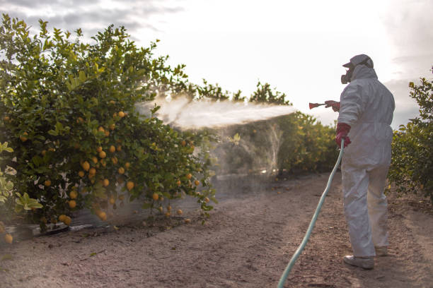 Wildlife Control Services in Wilderness Rim, WA